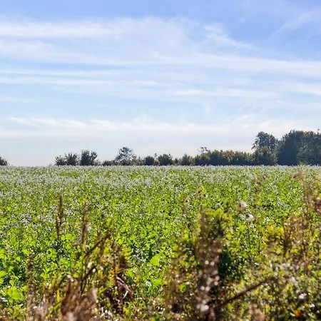 Villavilla 617 - Strand, Fyn Og Oer Vakantiehuis