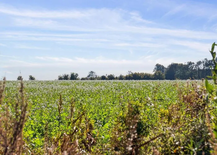 Villavilla 617 - Strand, Fyn Og Oer Vakantiehuis